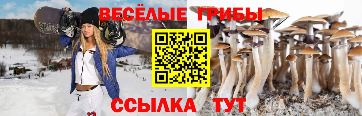 Галлюциногенные грибы мицелий  Вход с VPN  Зерноград 